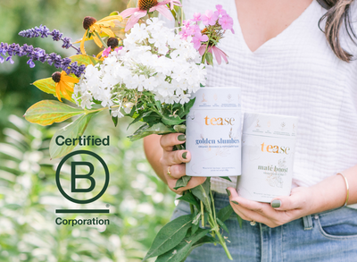 5 Ways Our BCorp Certification Impacts You